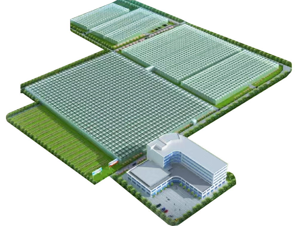 莱西半岛花卉项目