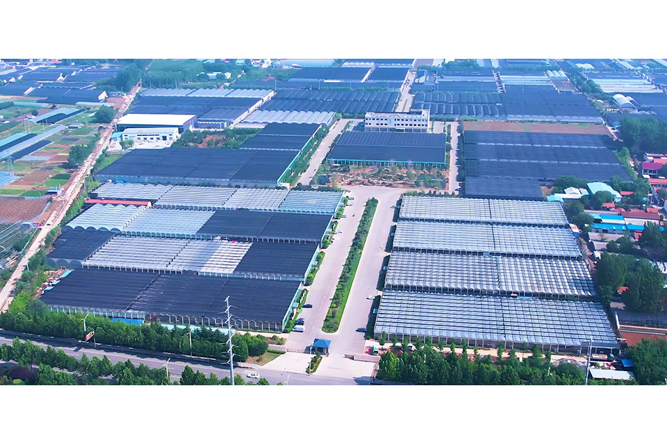厂区鸟瞰图