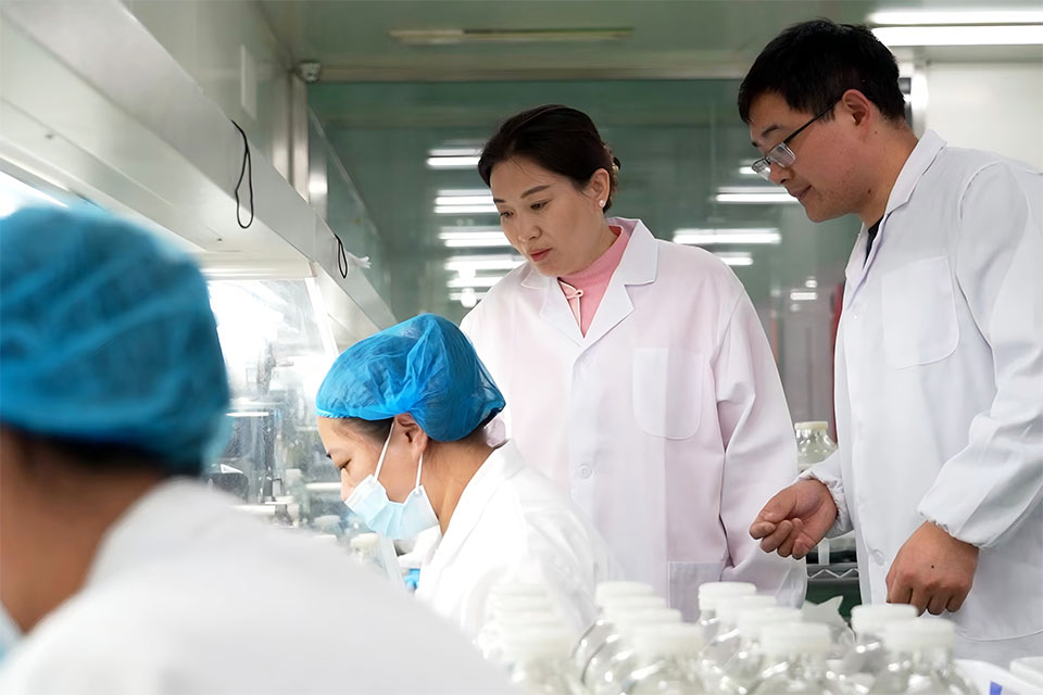 公司技术总监查看组培科研情况