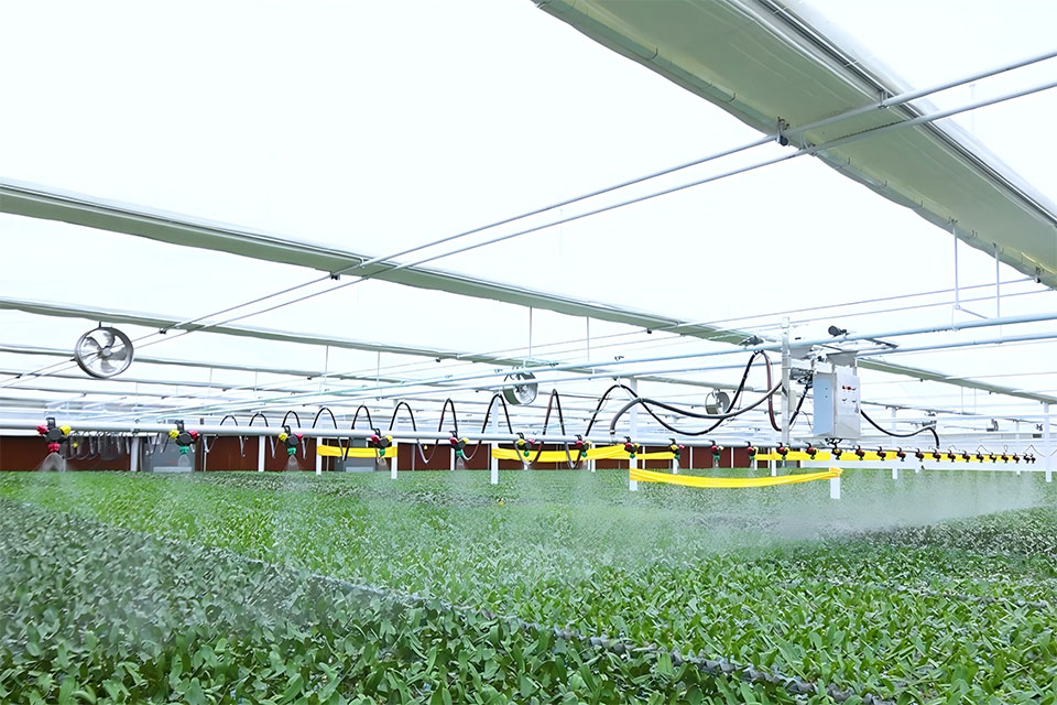 现代化智能输美温室