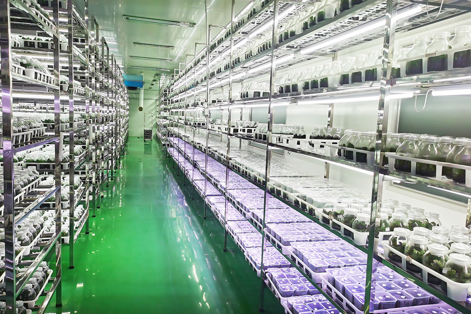 现代化组培室内景图