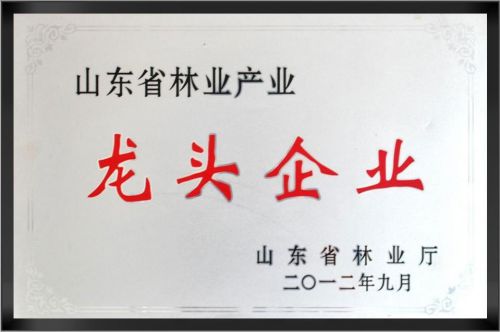 山东省林业产业龙 头企业
