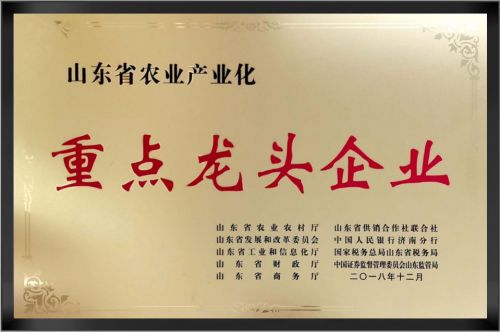 山东省农业产业化重点龙 头企业