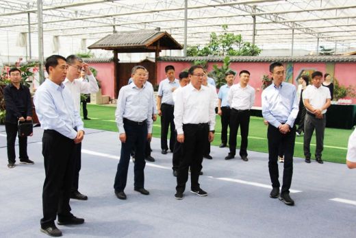 国家审计署考察团到亚泰花卉参观考察