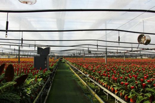 打造绿色工厂 我们在行动