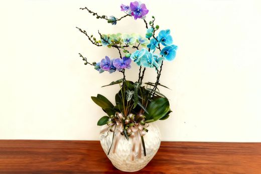 旗耀家国，月满中秋，兰开正盛