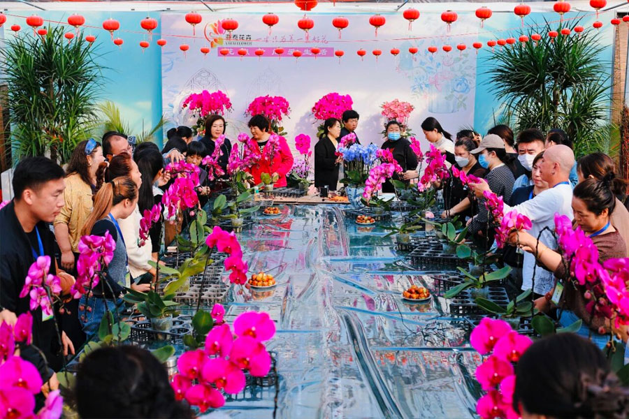 Learn skills and practice art, bloom the beauty of Phalaenopsis! Yatai Agriculture successfully concluded the high-end Phalaenopsis combination pot training