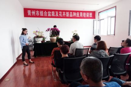 亚泰农业工会组织开展2020年组合盆栽培训