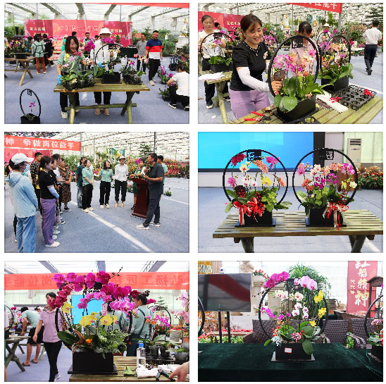 1763524672854458.jpg 花卉技能大赛.jpg