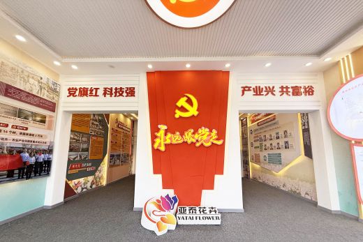 新年序章，回望辉煌：我们的2025