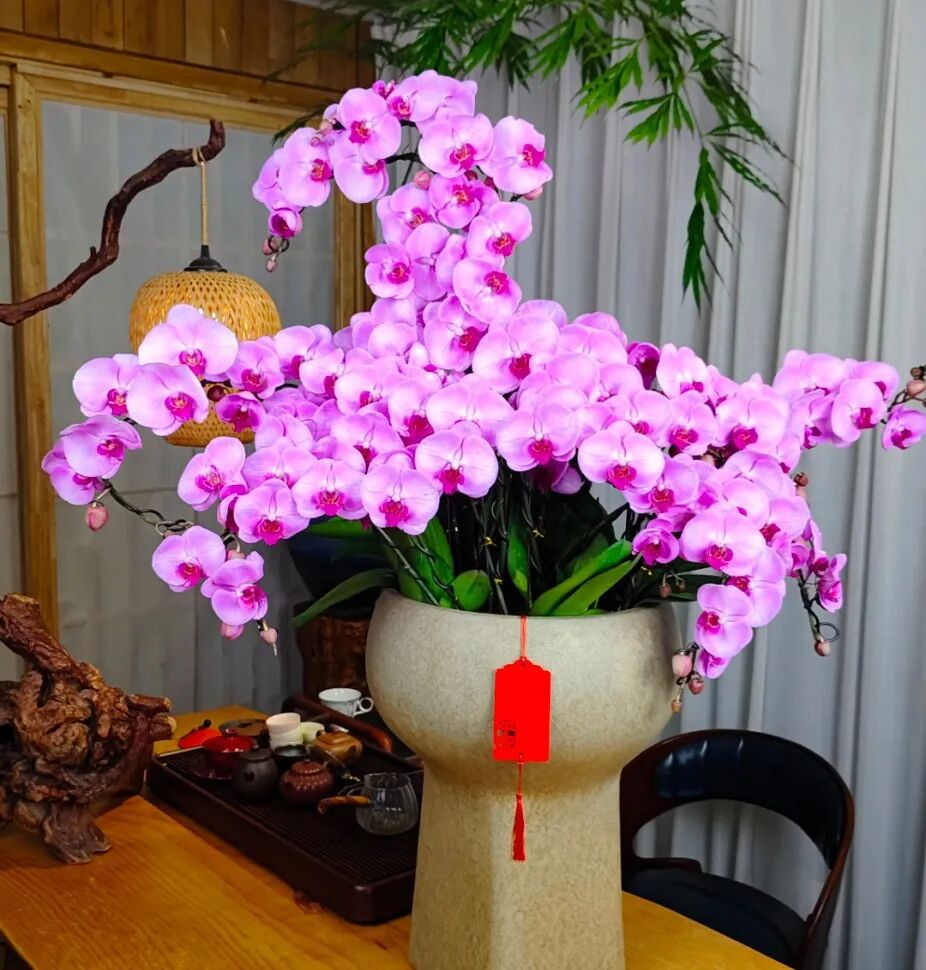 用一室繁花，许新年锦绣