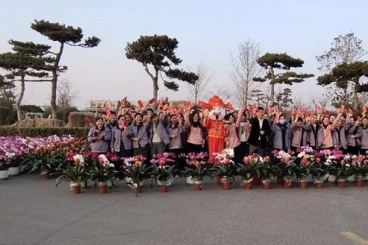 匠心育兰，香约新春：来自亚泰的新年祝福