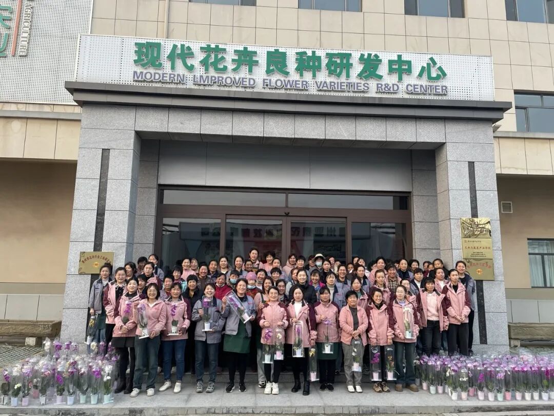 芳华映花韵，巾帼绽荣光