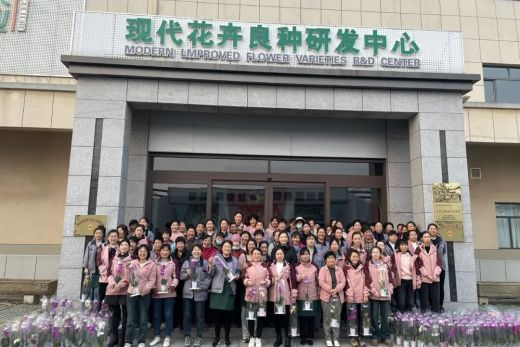 芳华映花韵，巾帼绽荣光